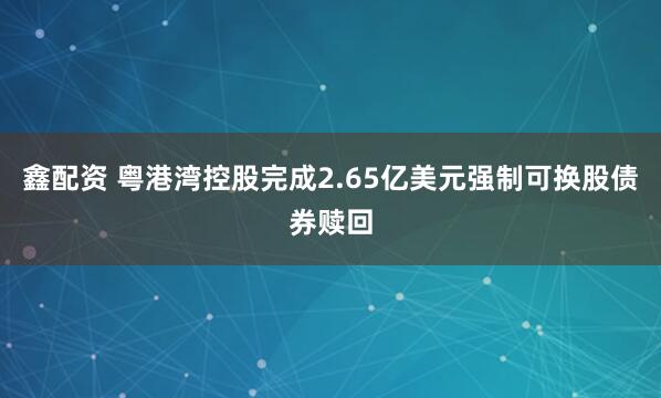 鑫配资 粤港湾控股完成2.65亿美元强制可换股债券赎回