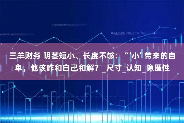 三羊财务 阴茎短小、长度不够：“‘小’ 带来的自卑，他该咋和自己和解？_尺寸_认知_隐匿性